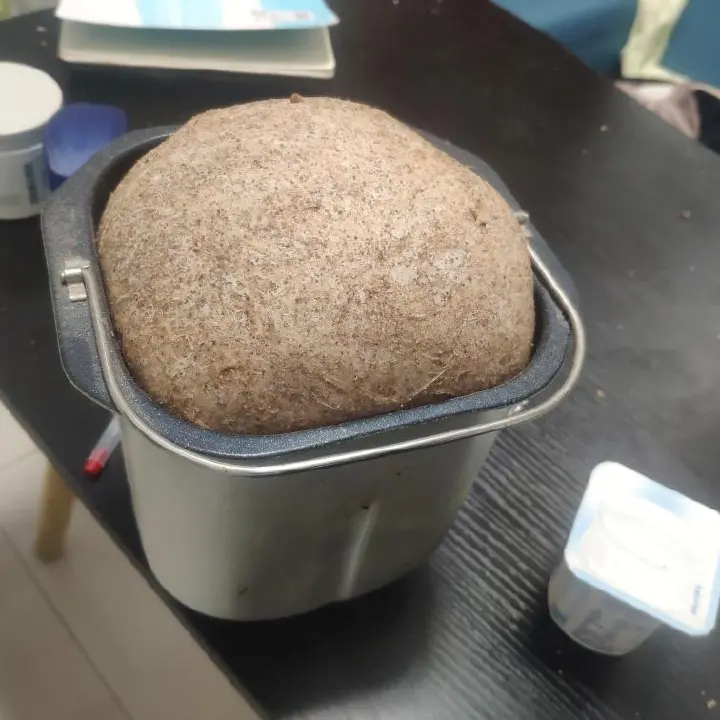 面包机全麦吐司 第 1 步