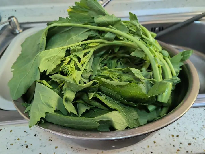 云南冲菜炒火腿 第 1 步