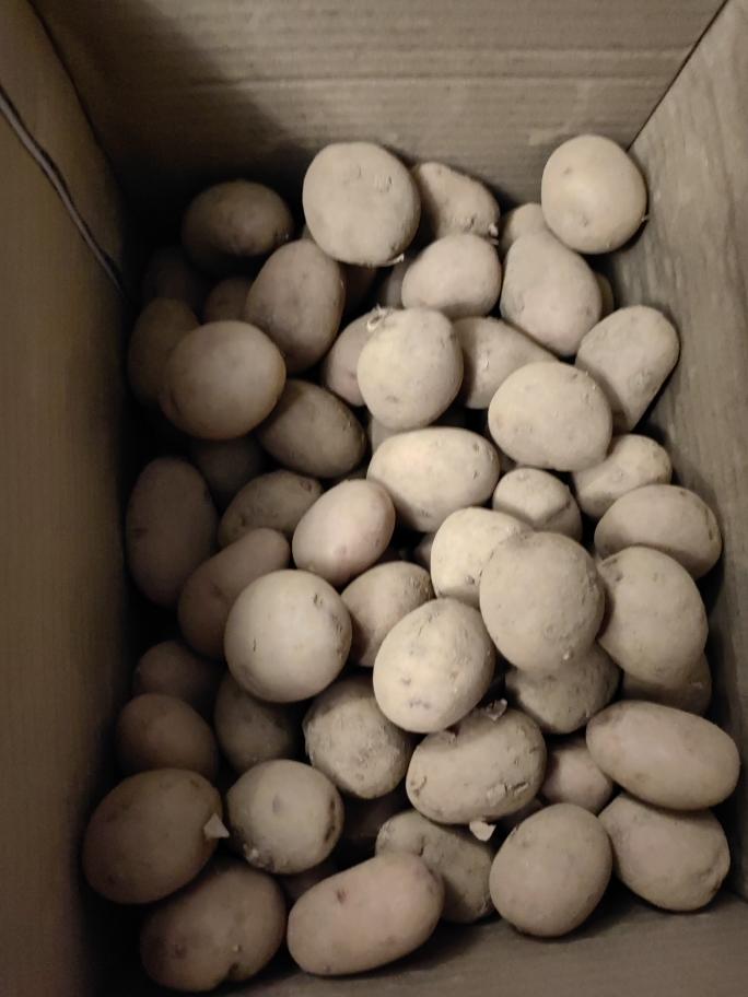 家常炒小土豆片 第 1 步