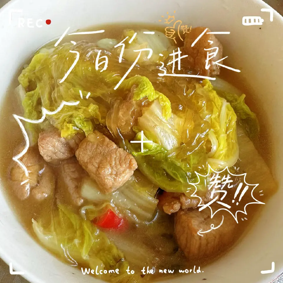 猪肉白菜炖粉条成品图