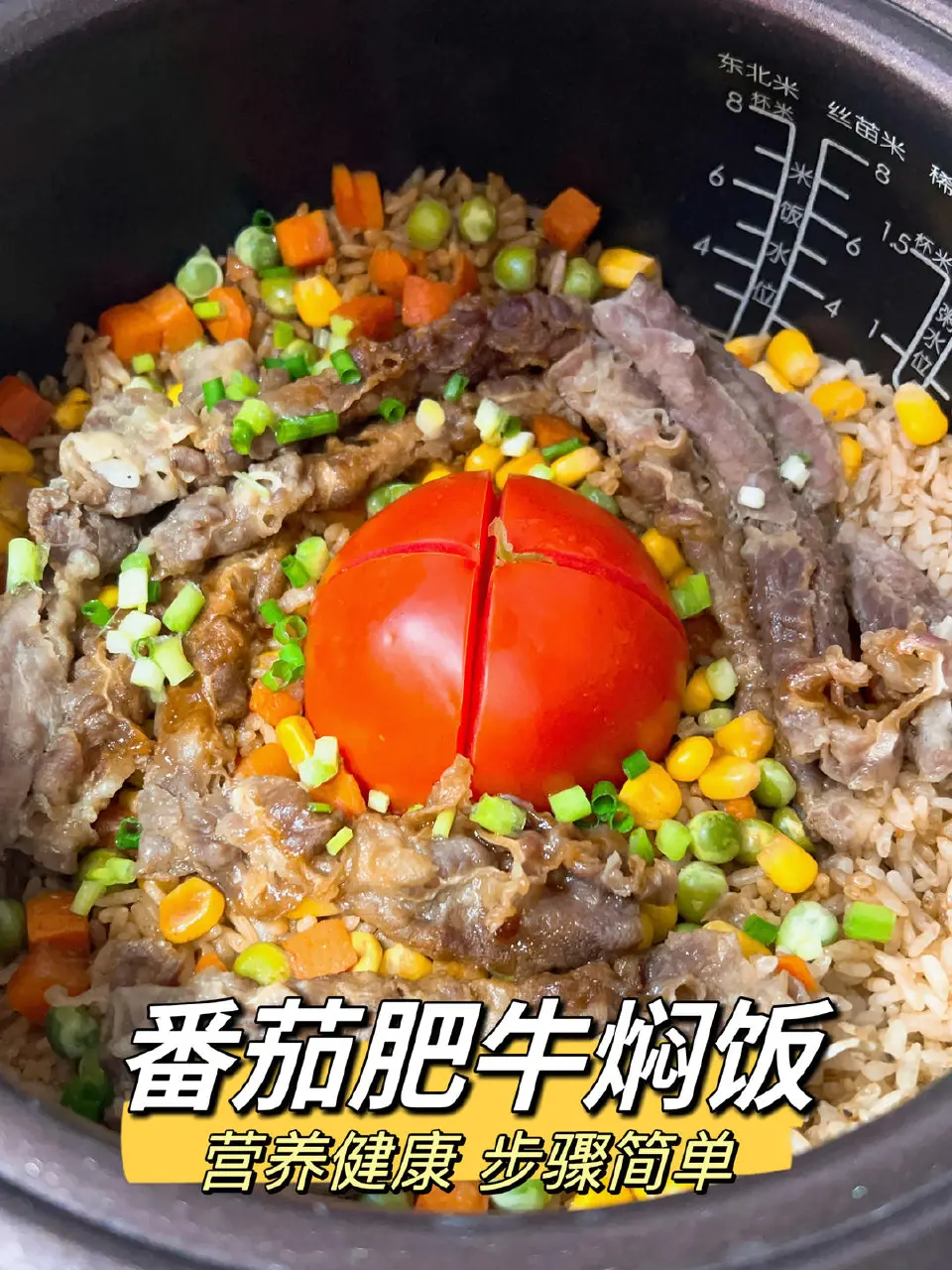 番茄肥牛焖饭成品图