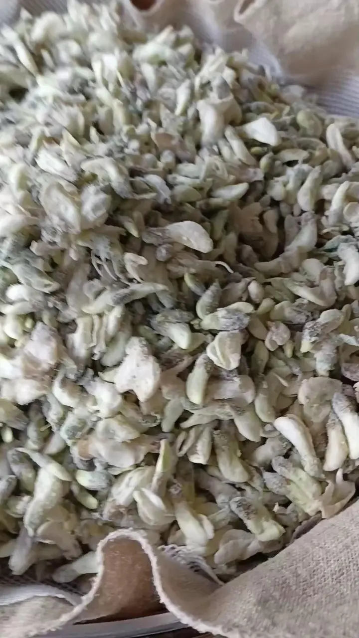 煎蒸洋槐花 第 10 步
