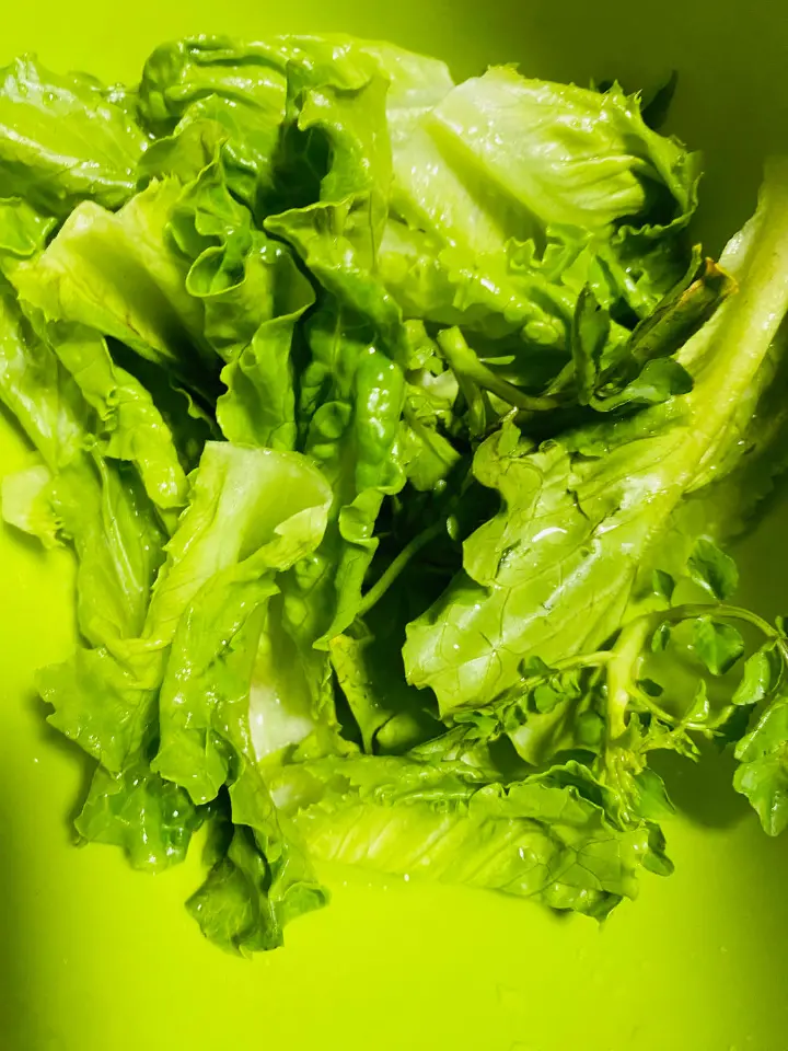 广式鸡蛋午餐肉炒米粉 第 3 步