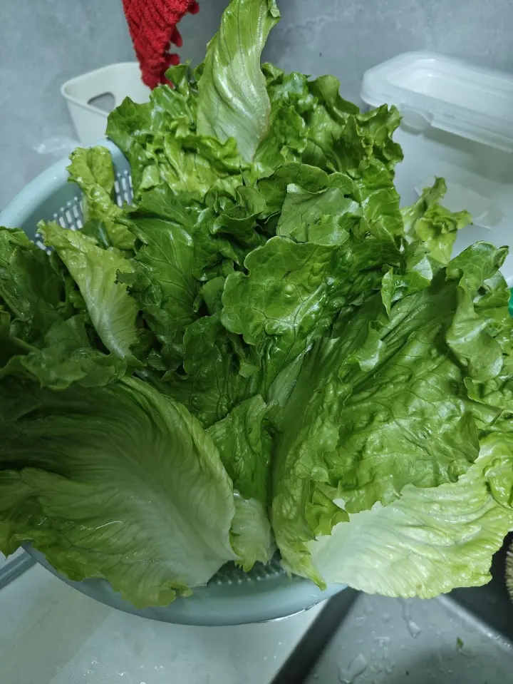 蒜蓉生菜 第 1 步