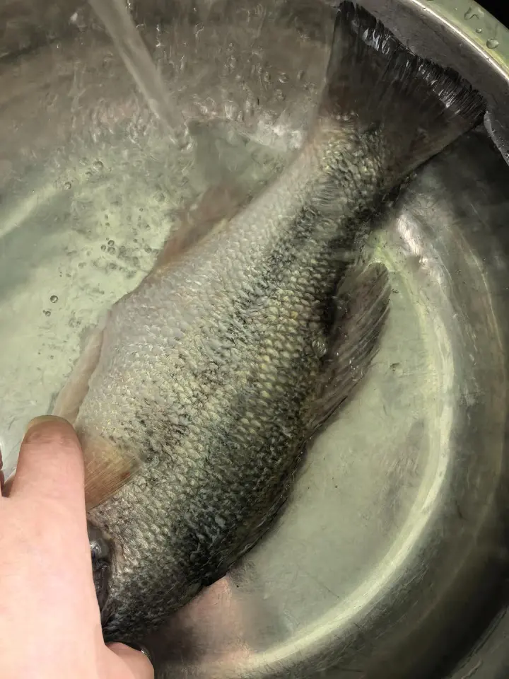柠檬红烧鱼 第 1 步