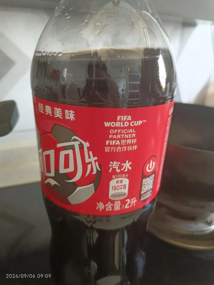 懒人版可乐鸡翅 第 12 步
