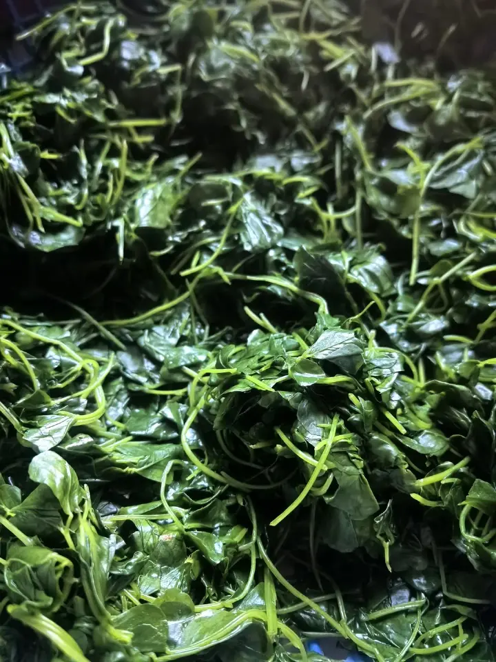 上汤秧草 第 2 步