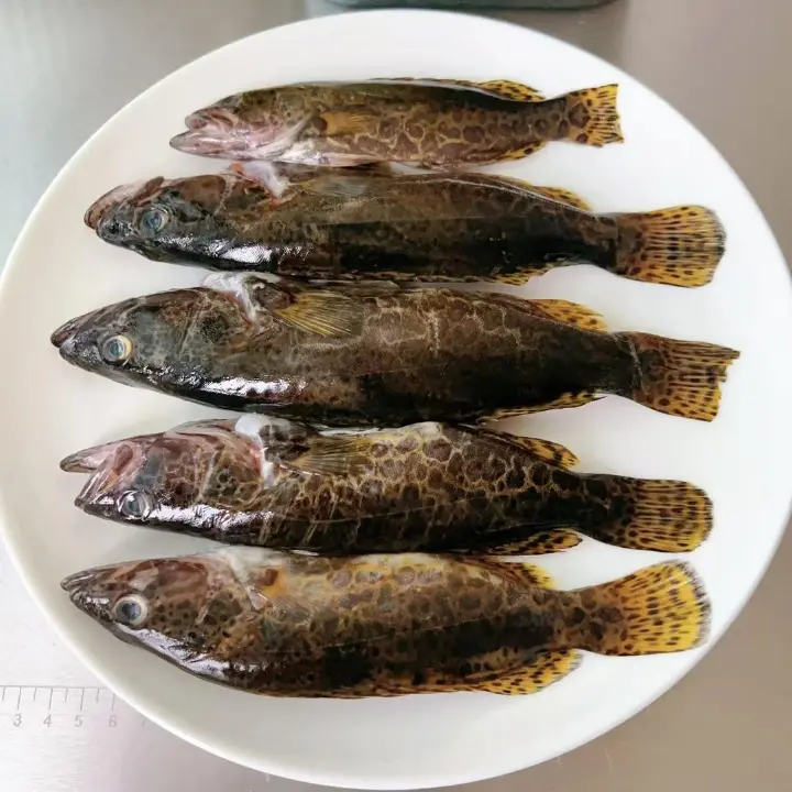 葱油清蒸虎斑鳜鱼 第 1 步