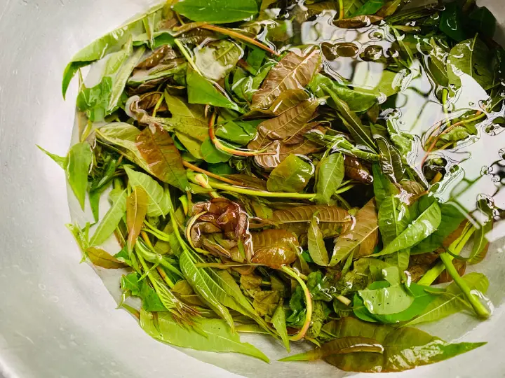 五香豆腐香椿蛋饼 第 1 步