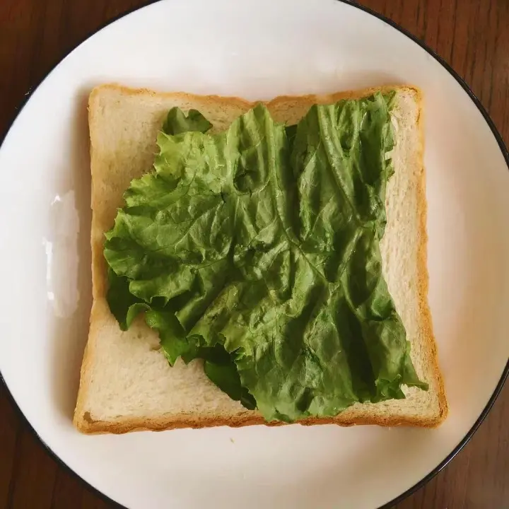 酸黄瓜番茄红肠三明治 第 9 步