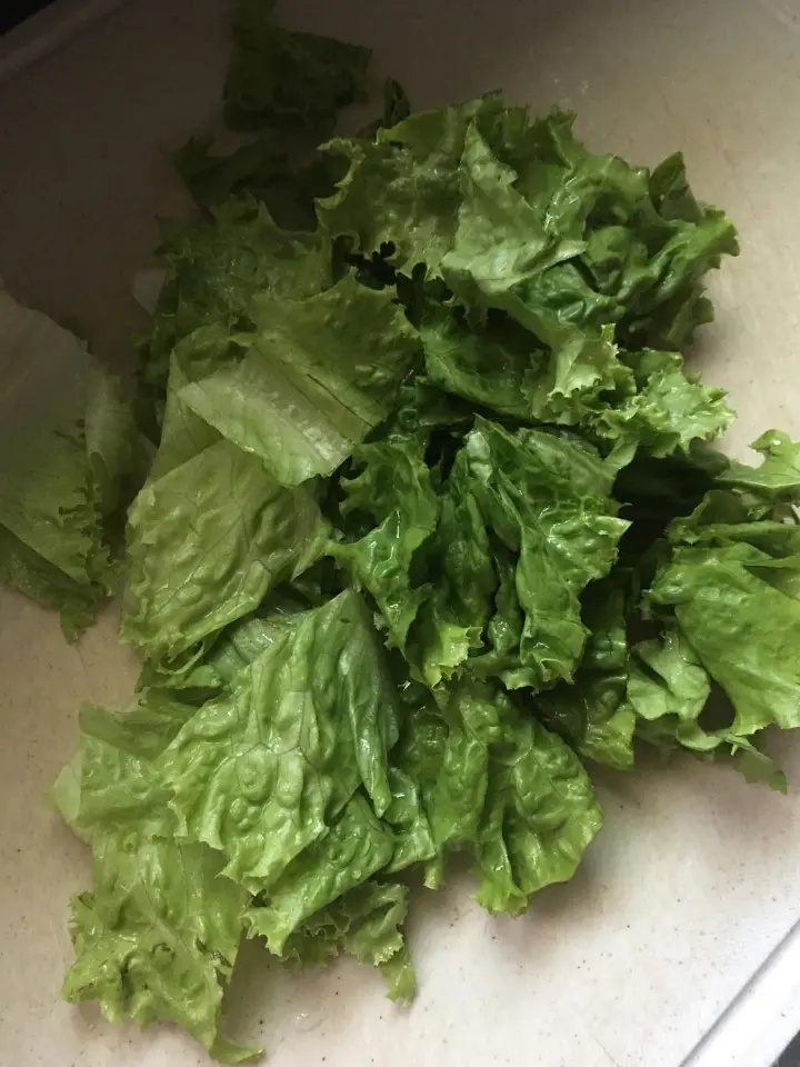 生菜烧蛋饺 第 1 步