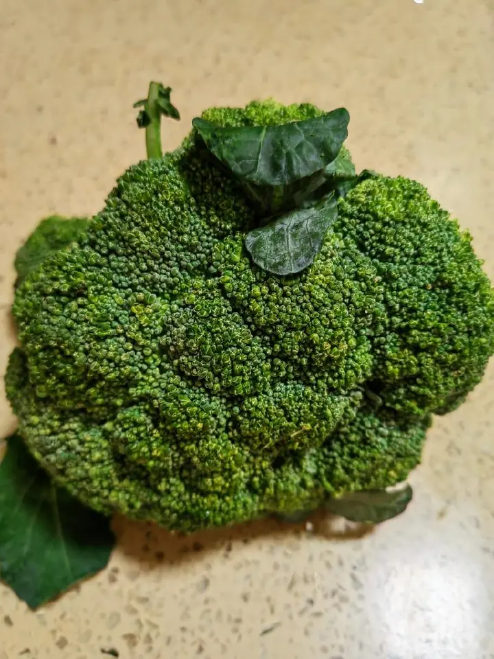西兰花炒虾仁 第 1 步