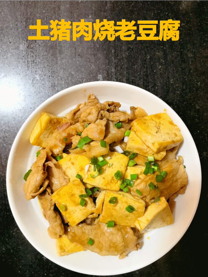 土猪肉烧老豆腐成品图
