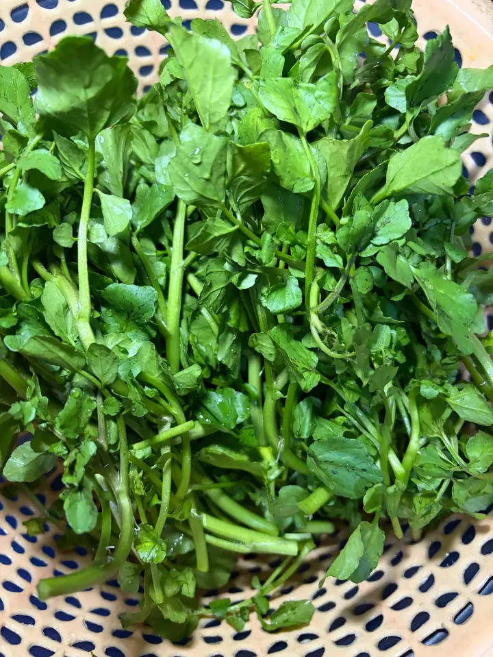 上汤西洋菜 第 1 步