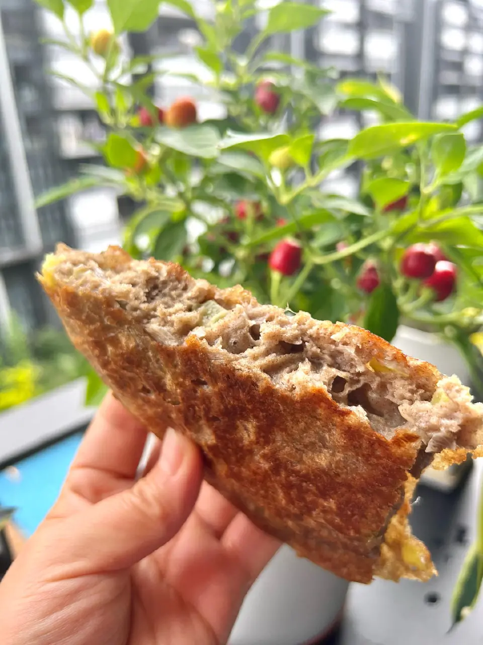 葱花荞麦面饼成品图