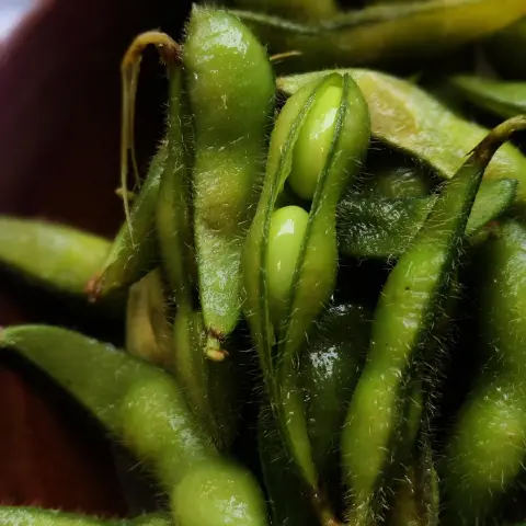 冰镇毛豆