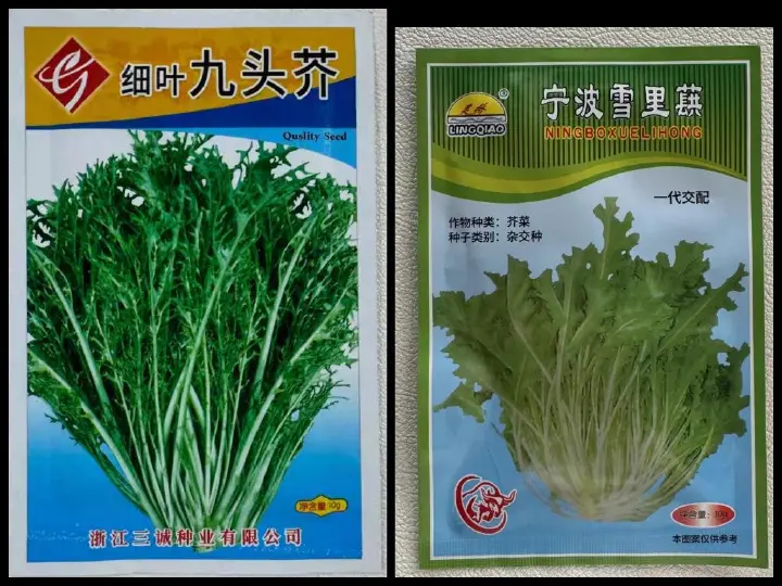 梅干菜肉沫纸皮烧麦 第 26 步