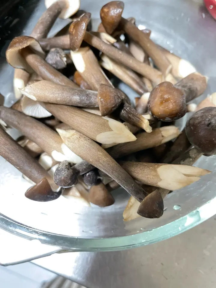 凉拌黑皮鸡枞菌 第 2 步