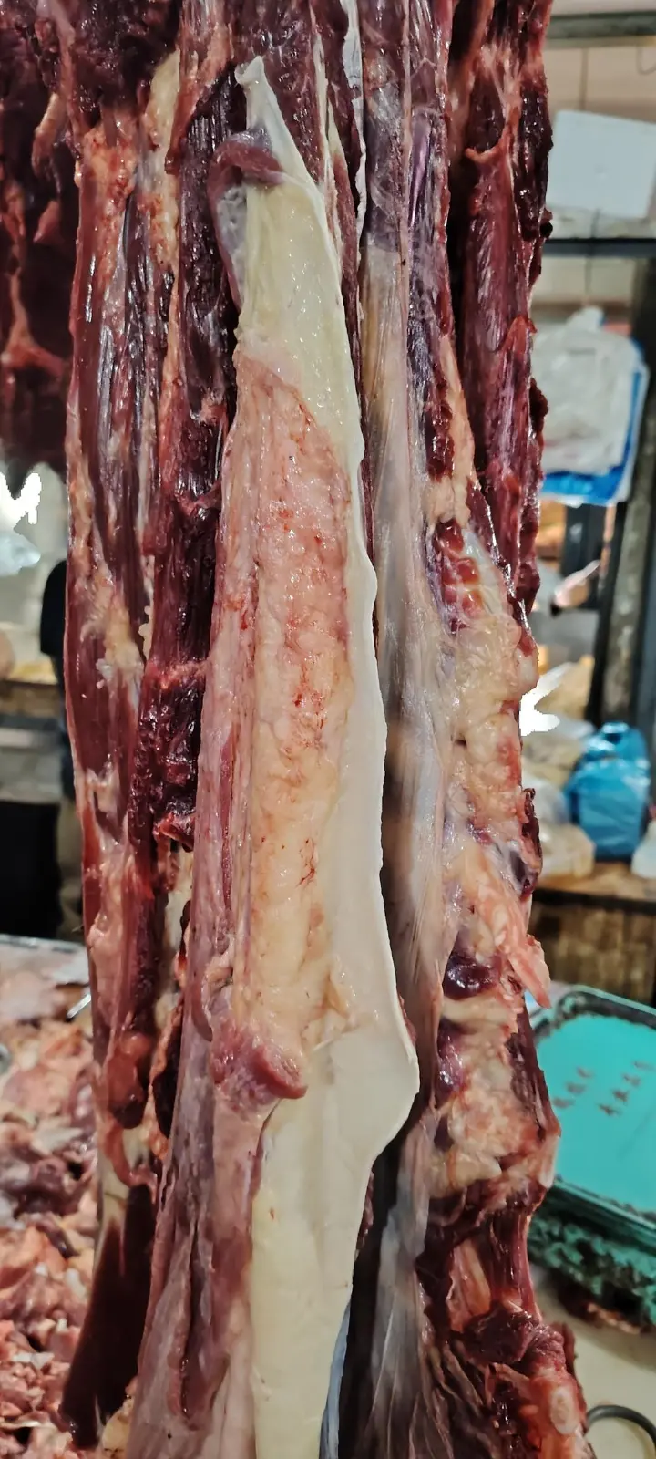 电饭煲西红柿焖牛腩 第 1 步