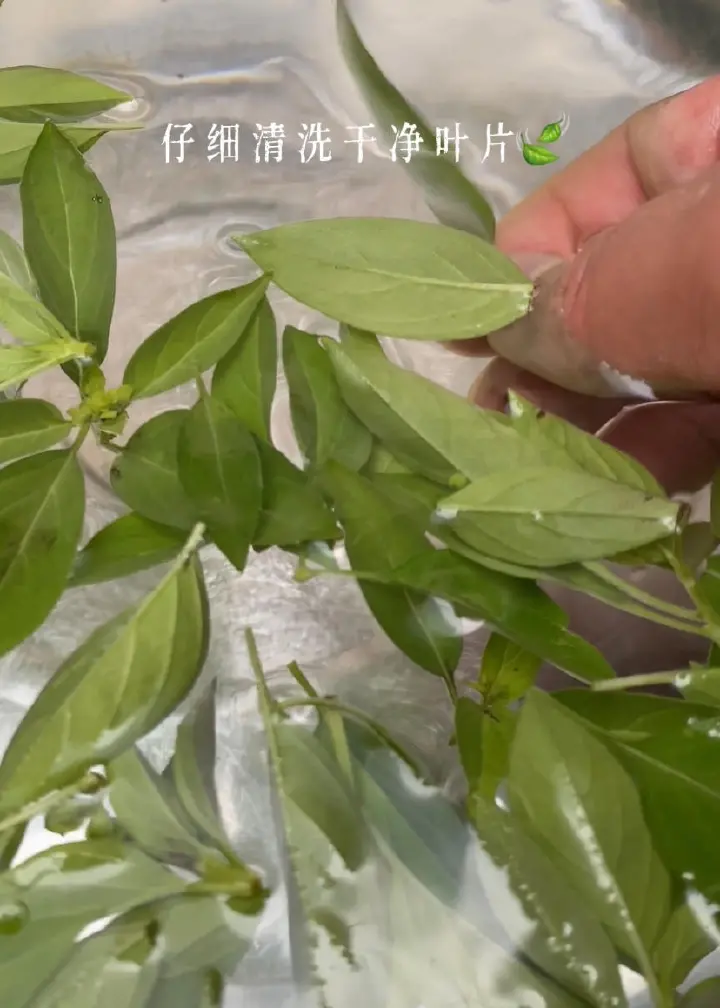 金不换青酱拌荞麦面 第 4 步