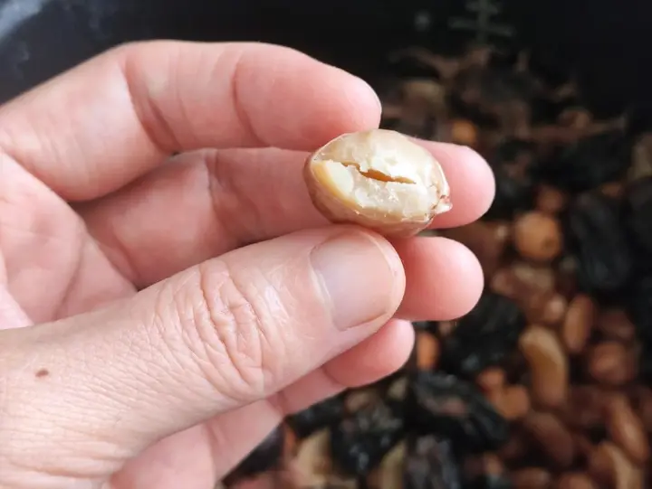 低糖免炒莲蓉豆沙枣泥馅 第 7 步
