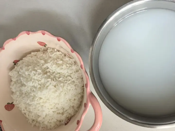 家常鸡肉蔬菜烩饭 第 2 步