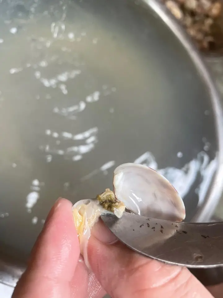 麻辣爆炒花蛤 第 5 步