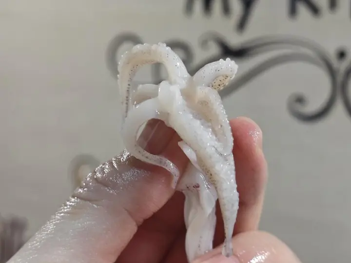 牛胸口油炒鱿鱼 第 2 步
