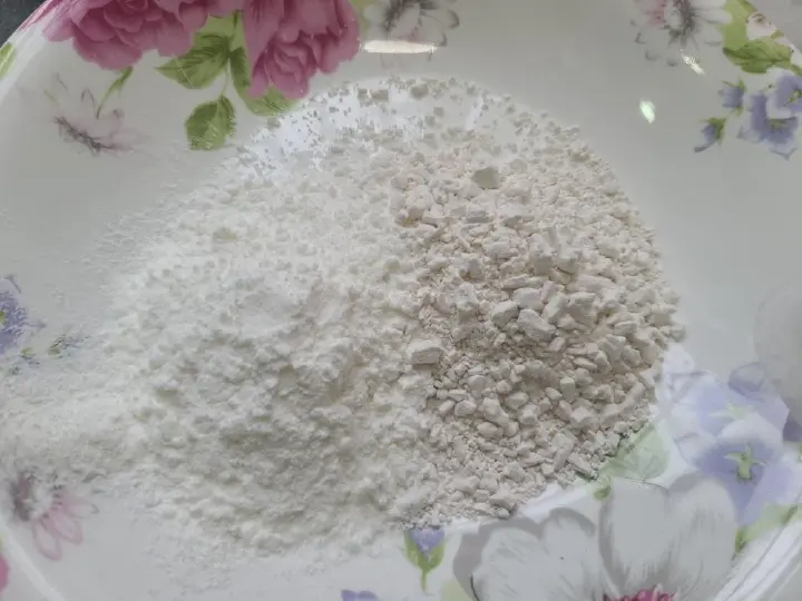 松鼠桂鱼 第 8 步