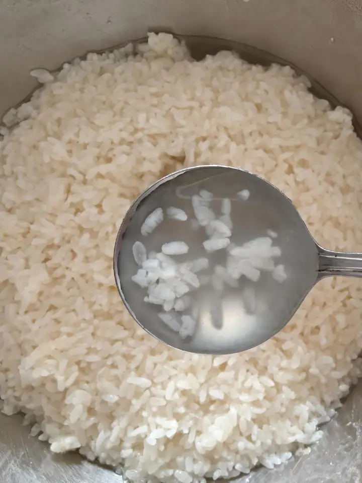 懒人版糯米酒酿 第 13 步