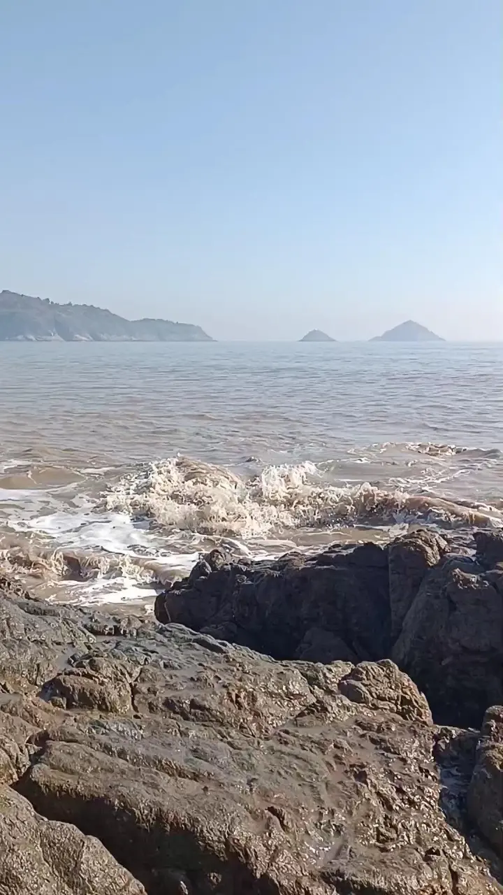 香煎半干鲅鱼 第 4 步