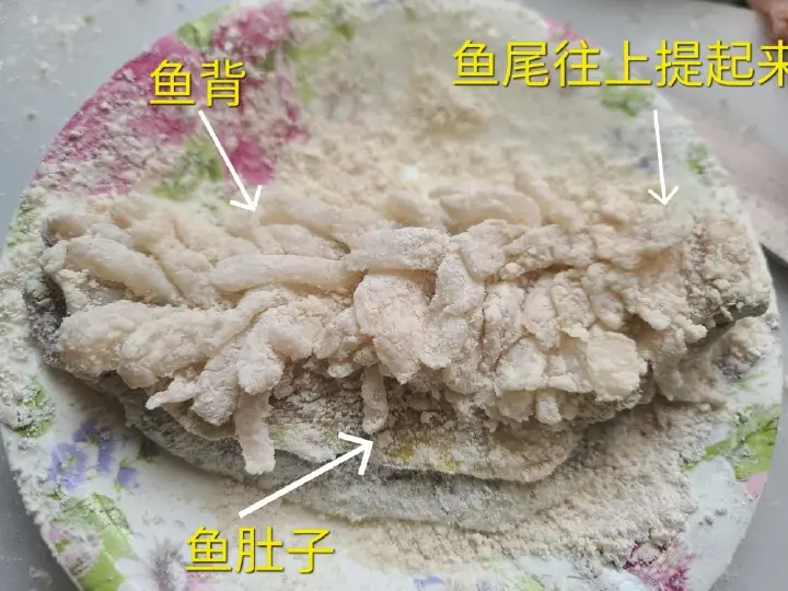 松鼠桂鱼 第 9 步
