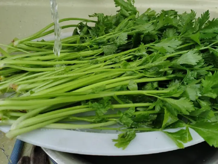 百合芹菜炒玉米粒 第 2 步