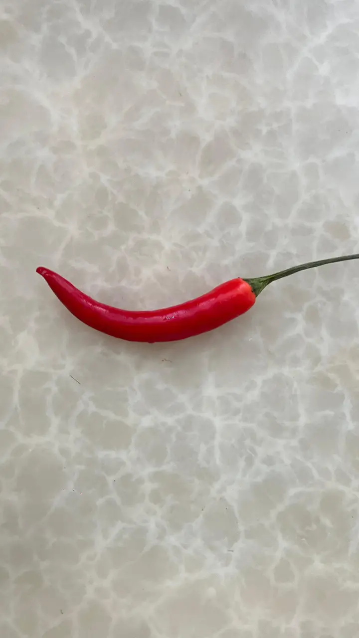 金汤酸菜鱼 第 5 步