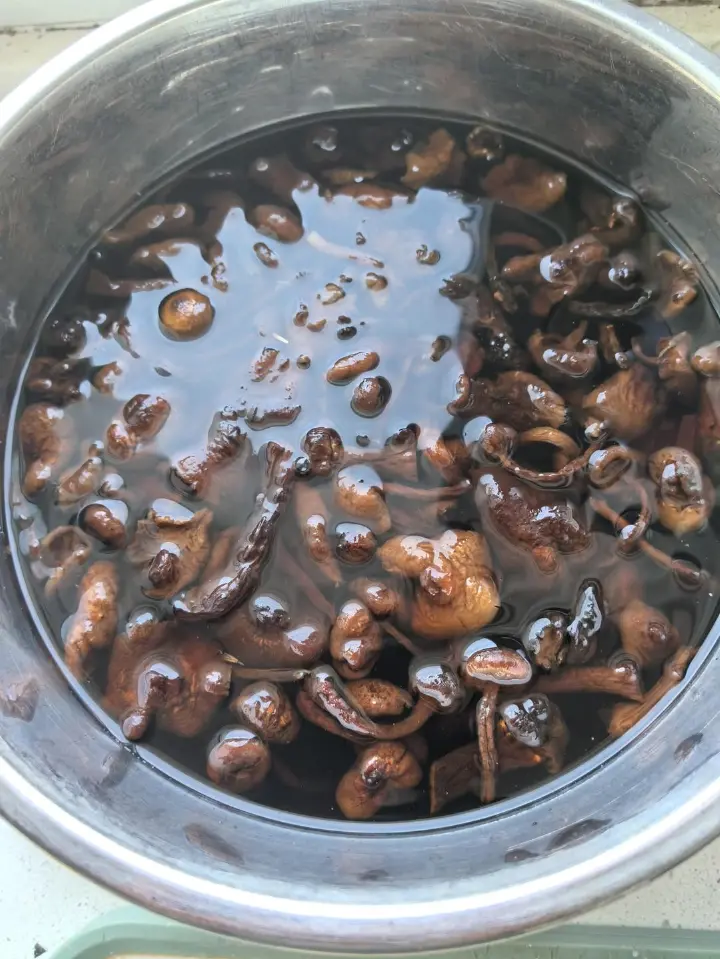 榛蘑炒土豆片 第 2 步