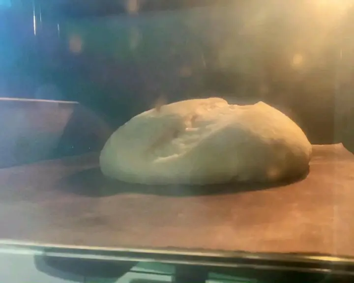 鲁邦种小白欧包 第 19 步