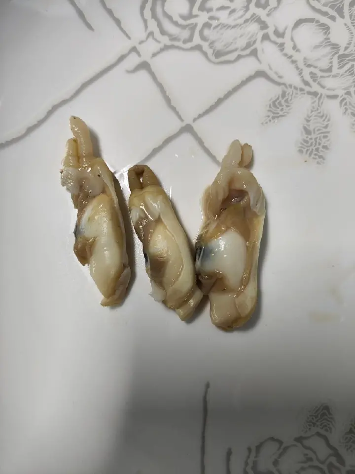 蛏子捞饭 第 5 步