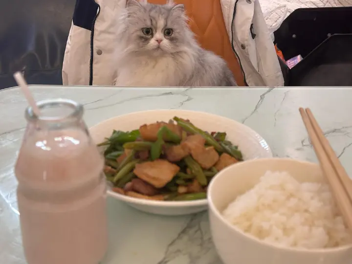 四季豆炒肉 第 15 步