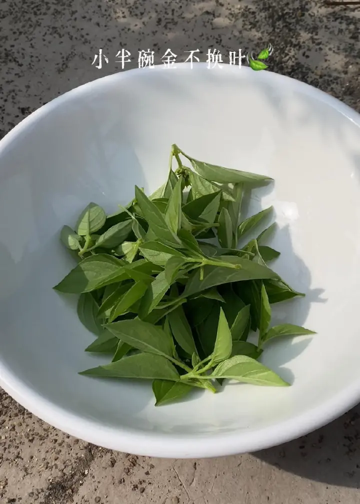 金不换青酱拌荞麦面 第 3 步