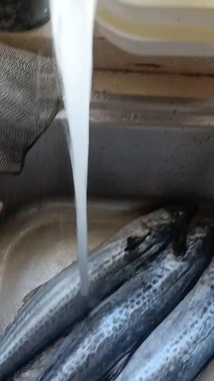 香煎半干鲅鱼 第 1 步