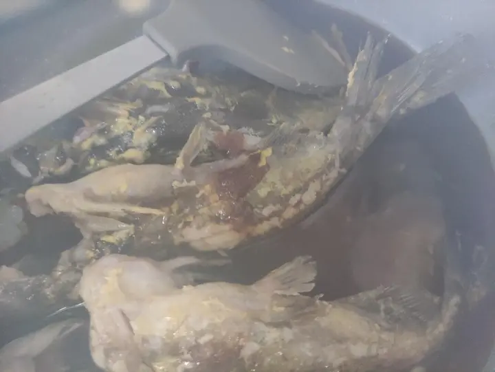 红烧黄骨鱼 第 5 步