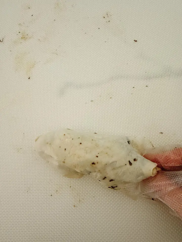 手抓饼版梅干菜饼 第 5 步