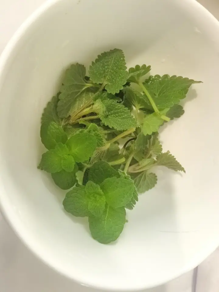 梅子鸭 第 6 步