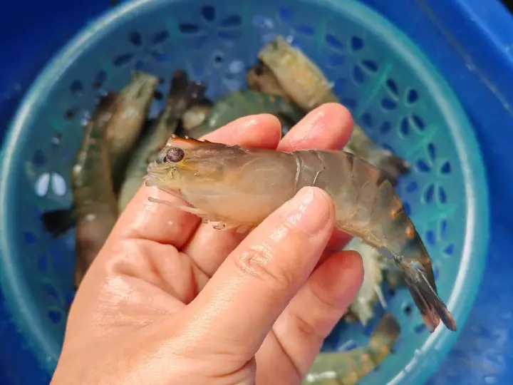大虾炒年糕 第 4 步
