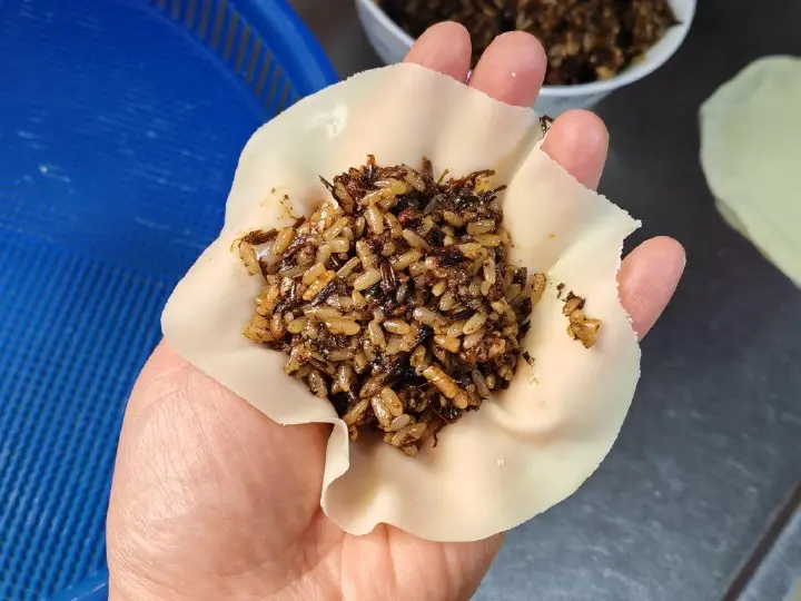 梅干菜肉沫纸皮烧麦 第 19 步