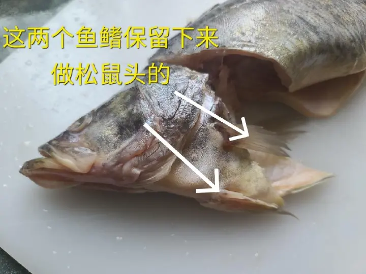 松鼠桂鱼 第 2 步