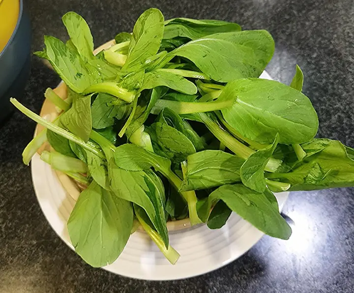 千张炒鸡毛菜 第 4 步
