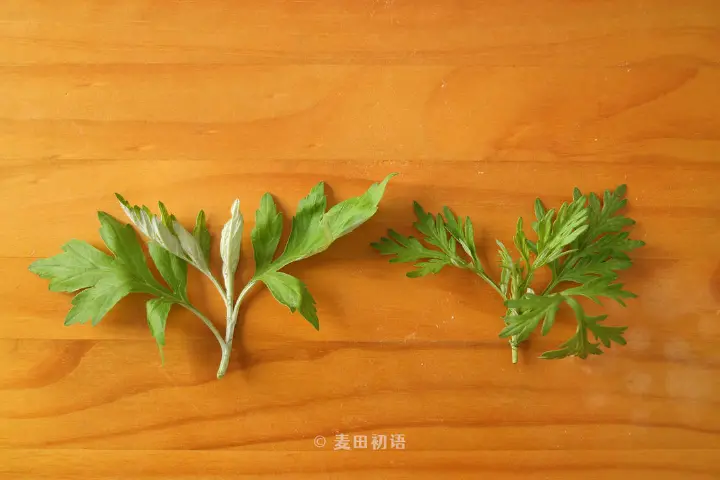 青团 第 2 步