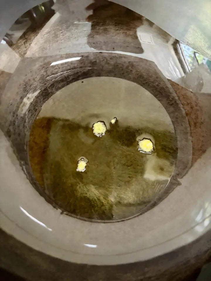 丝瓜炒蛋 第 3 步
