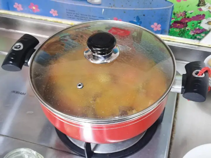 番茄红烩咖喱鸡 第 18 步